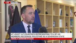Belgium’s FM says Israel’s ‘totally unacceptable’ conduct sparked recognition of Palestinian state News Clip