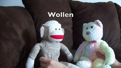 #17 Wollen (GwP1) - Deutsch lernen Instructional Video