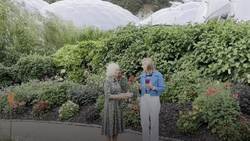 Fiona Bruce steps back from domestic abuse charity after Question Time row News Clip