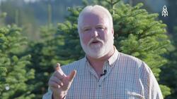 Rapid Harvest, The Rush to Gather a Million Christmas Trees Instructional Video