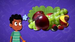 High Five Facts - Food Groups Instructional Video