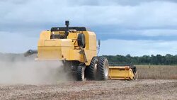 Tractor harvesting agriculture field soybean in 4K Stock Footage