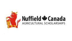 How can cows help farms get better yields? This P.E.I. farmer aims to find out News Clip