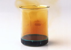 ¿Qué es un gas? Instructional Video