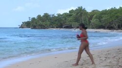 CLEAN : Martinique beaches near deserted as island locks down News Clip