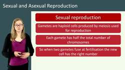 Sexual and Asexual Reproduction Explained Instructional Video