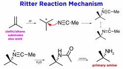 Ritter Reaction Instructional Video