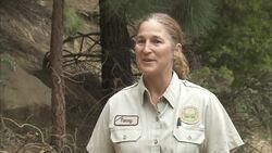 See Horus, the Baby Reindeer, Get a Bottle Feeding Instructional Video