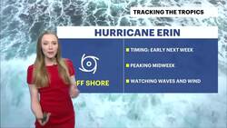 Hot and humid, with chance of late storm on Sunday for Brooklyn News Clip