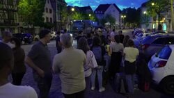 CLEAN : Brexit bureaucracy frustrates European school trips to UK News Clip