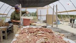 Adopted as a Baby_  a Farmer Digs Into Her Culture Instructional Video