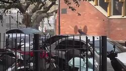 CLEAN : Argentine supporters detractors gather for Kirchner's hearing News Clip