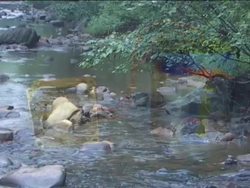 Introduction to Electric Current and Circuits Instructional Video