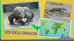 Get to Know a Dinosaur! Instructional Video