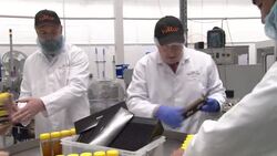 Boris Johnson visits Mid Wales factory as Welsh Conservatives hold conference News Clip