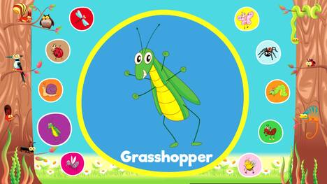 Let's Learn Insects