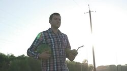 Working process of harvesting pumpkins on the eco farm at sunset Stock Footage