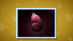 I WONDER - What Do The Kidneys Do? Instructional Video