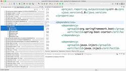Spring Framework Master Class - Java Spring the Modern Way - Step 18 - Container and Dependency Injection (CDI) - @Named and @Inject Instructional Video