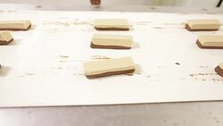 Candy on a Conveyer Belt with Chocolate Coating Stock Footage