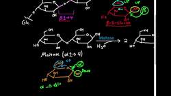 Polysaccharides: Cellulose Instructional Video
