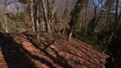 Halesite residents say ‘no’ to land development News Clip