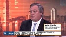 China's Economic Picture Looks 'Gloomy,' Port Shelter Investment CEO Says News Clip