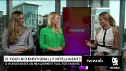 Measuring Your Child's Emotional Intelligence News Clip