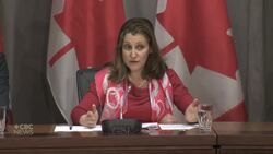 Deputy Prime Minister calls Canada - U.S. border a 'lifeline' News Clip