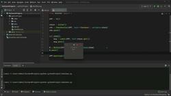 Python In Practice - 15 Projects to Master Python - Creating Checkbox Widgets Instructional Video