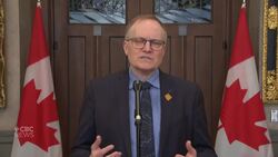 ‘The government has to take these responsibilities seriously’: NDP MP on Mass Casualty Commission report News Clip