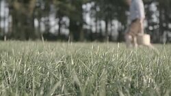 Couple walks through grass with picnic basket Stock Footage