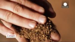 EMAS: Combining competitiveness with environmental performance News Clip