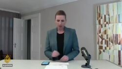 Denmark finds 214 people with mink-related coronavirus News Clip