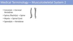 Medical Terminology | Lesson 7 | Musculoskeletal and Reproductive Anatomy Terms Instructional Video