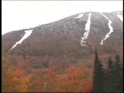 Climate Review Instructional Video