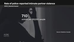 Saskatoon police create specialized teams to cope with increasing intimate partner violence calls News Clip