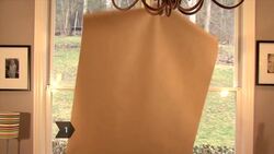 How to Craft a Large Paper Apple Tree Instructional Video