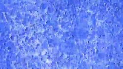 streams of water along the rocks Stock Footage