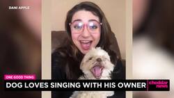 One Good Thing: Dog Loves Singing With His Owner News Clip