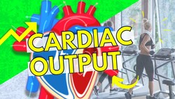 Cardiac Output Instructional Video