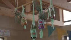 CLEAN : Eco warriors: S.Africa school puts green issues at heart of teaching News Clip