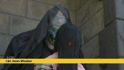 Halloween decorations in August? This Windsor family is getting an early start News Clip