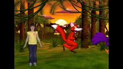 Animals - Animals and their Behaviours Instructional Video