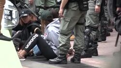 CLEAN : Dozens held after shopping protest at Hong Kong border town News Clip