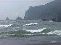 Water, Water, Everywhere: Saltwater Instructional Video