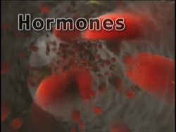 Healthy Nervous and Endocrine Systems: the Endocrine System Instructional Video