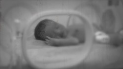 What Happened To Marie Antoinette's Kids Instructional Video