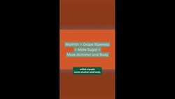 Breaking down the world's Wine Regions #brighttrip #travelsmarter #wine Instructional Video