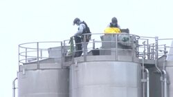 CLEAN : French authorities raid Buitoni factory after E.Coli outbreak News Clip